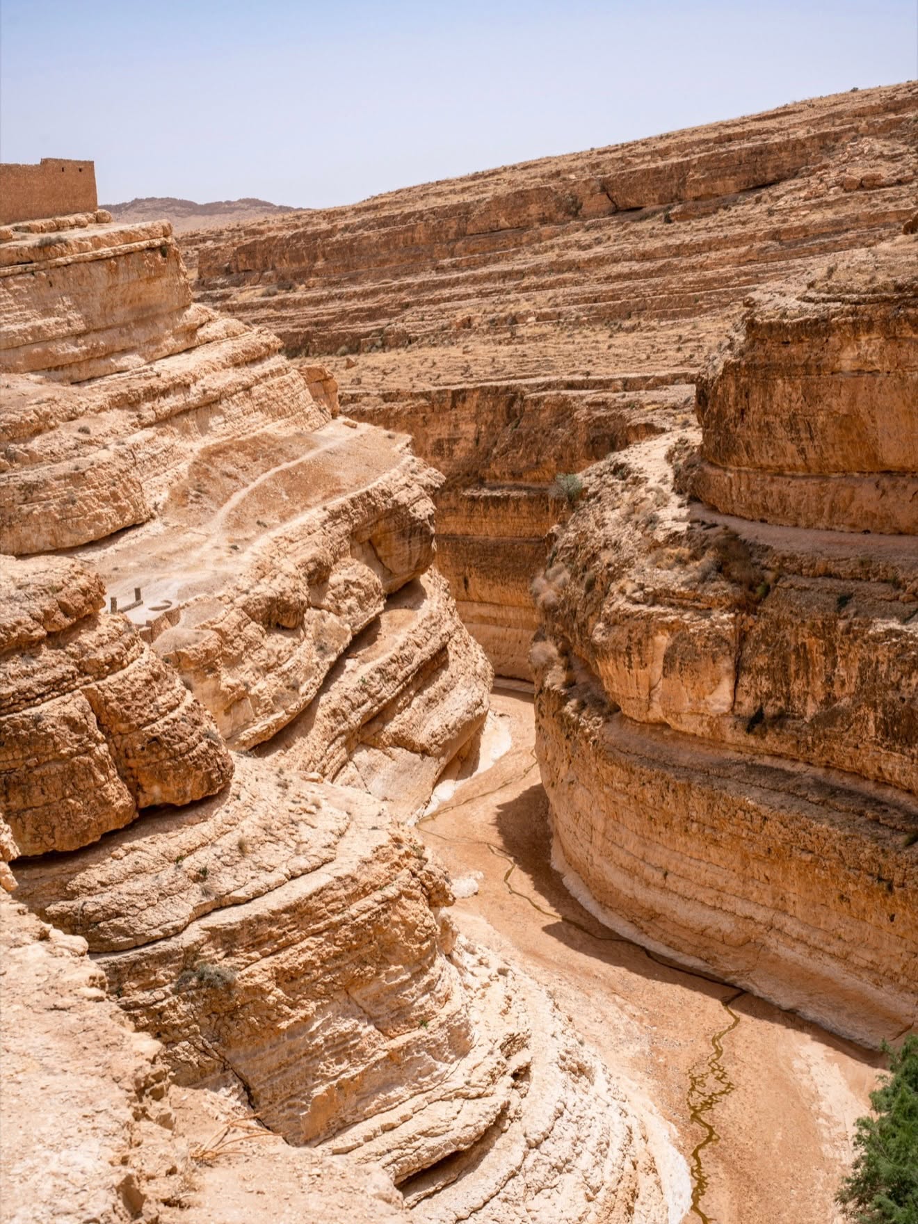Un trip inoubliable en Tunisie