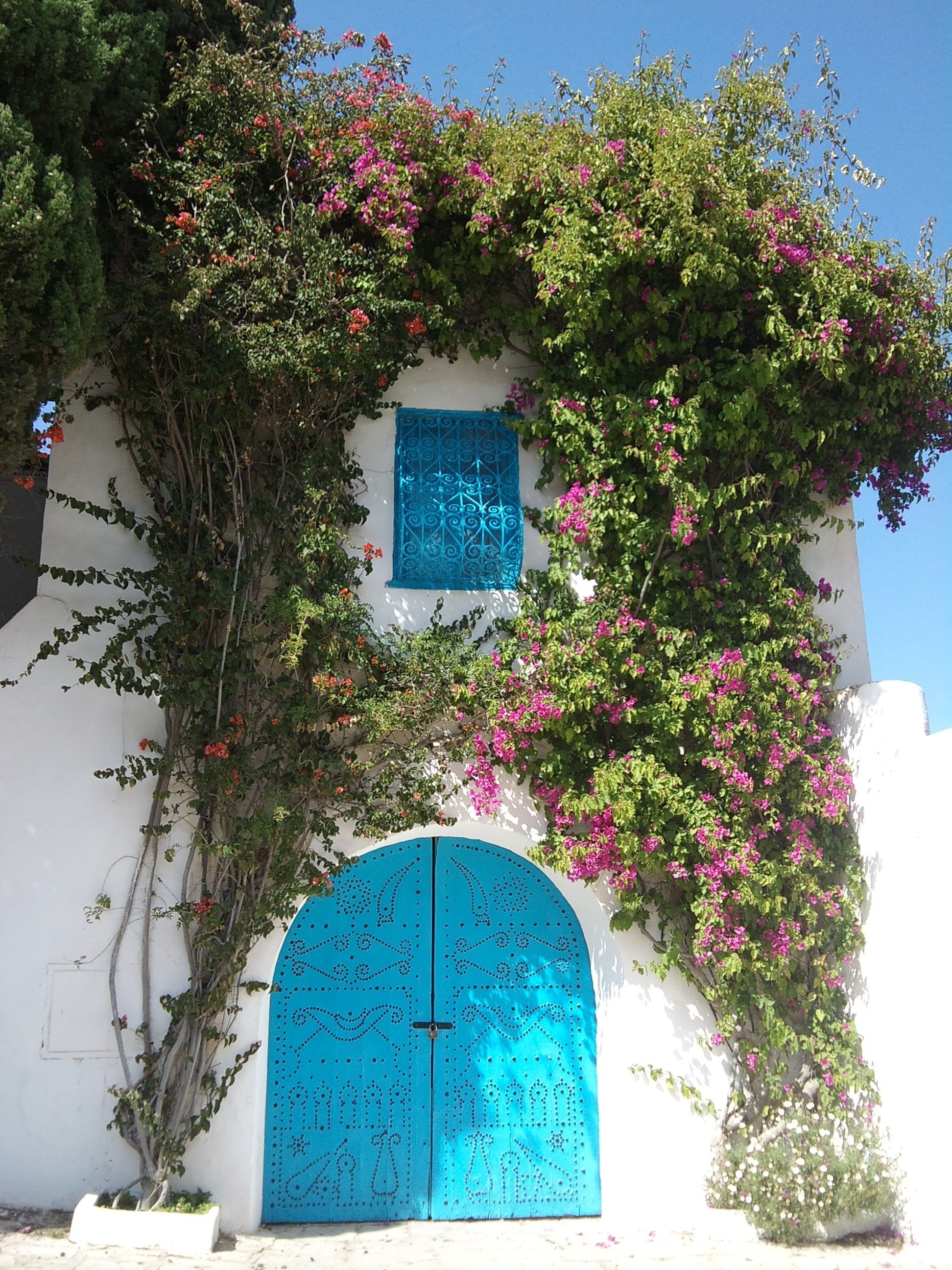 Ma Tunisie